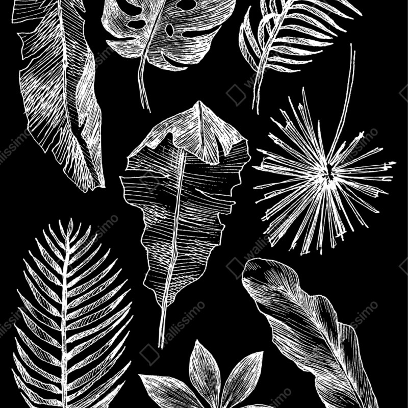 Schrankaufkleber monochrome blattkomposition – Wallnifity®