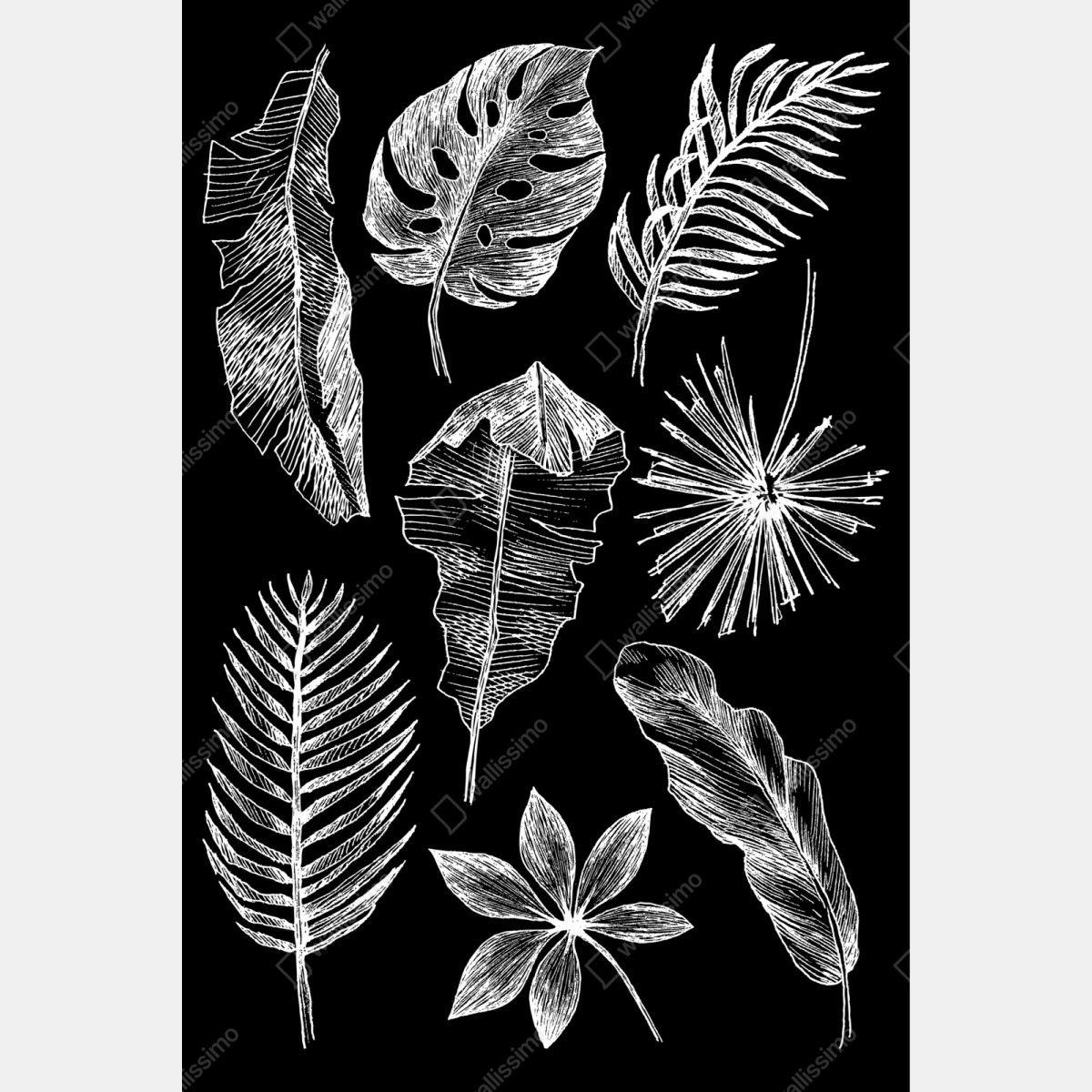 Schrankaufkleber monochrome blattkomposition – Wallnifity®