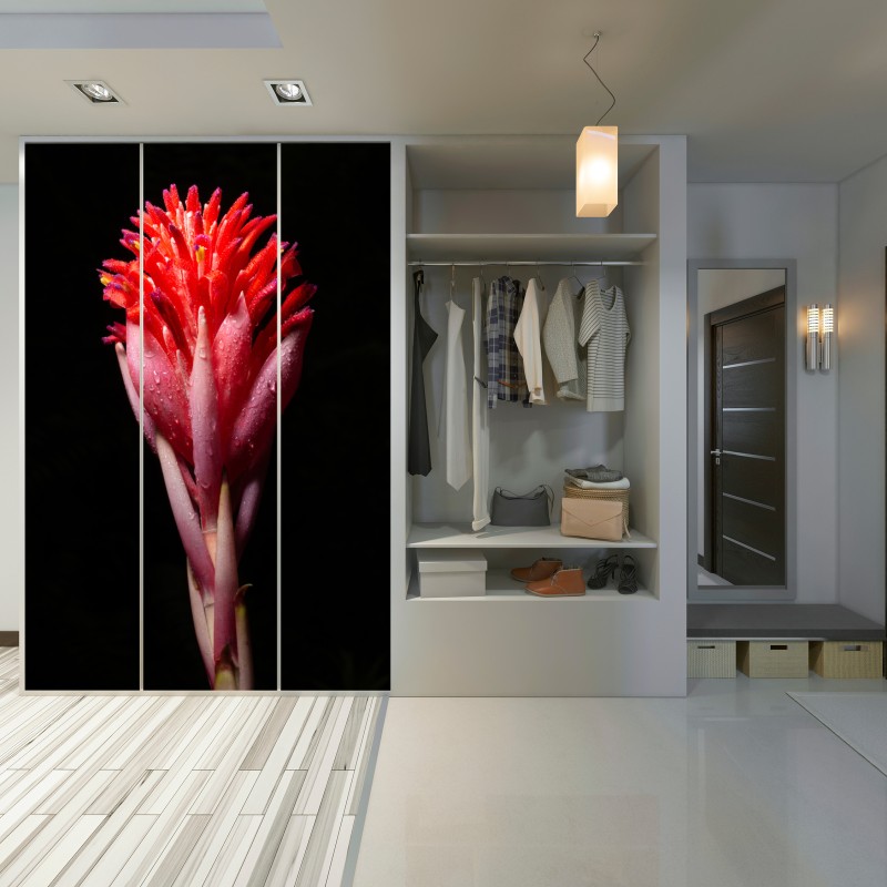 Schrankaufkleber leuchtende rosa blüte vor schwarzem hintergrund – Wallnifity® Schrankaufkleber leuchtende rosa blüte vor schwarzem hintergrund – Wallnifity®