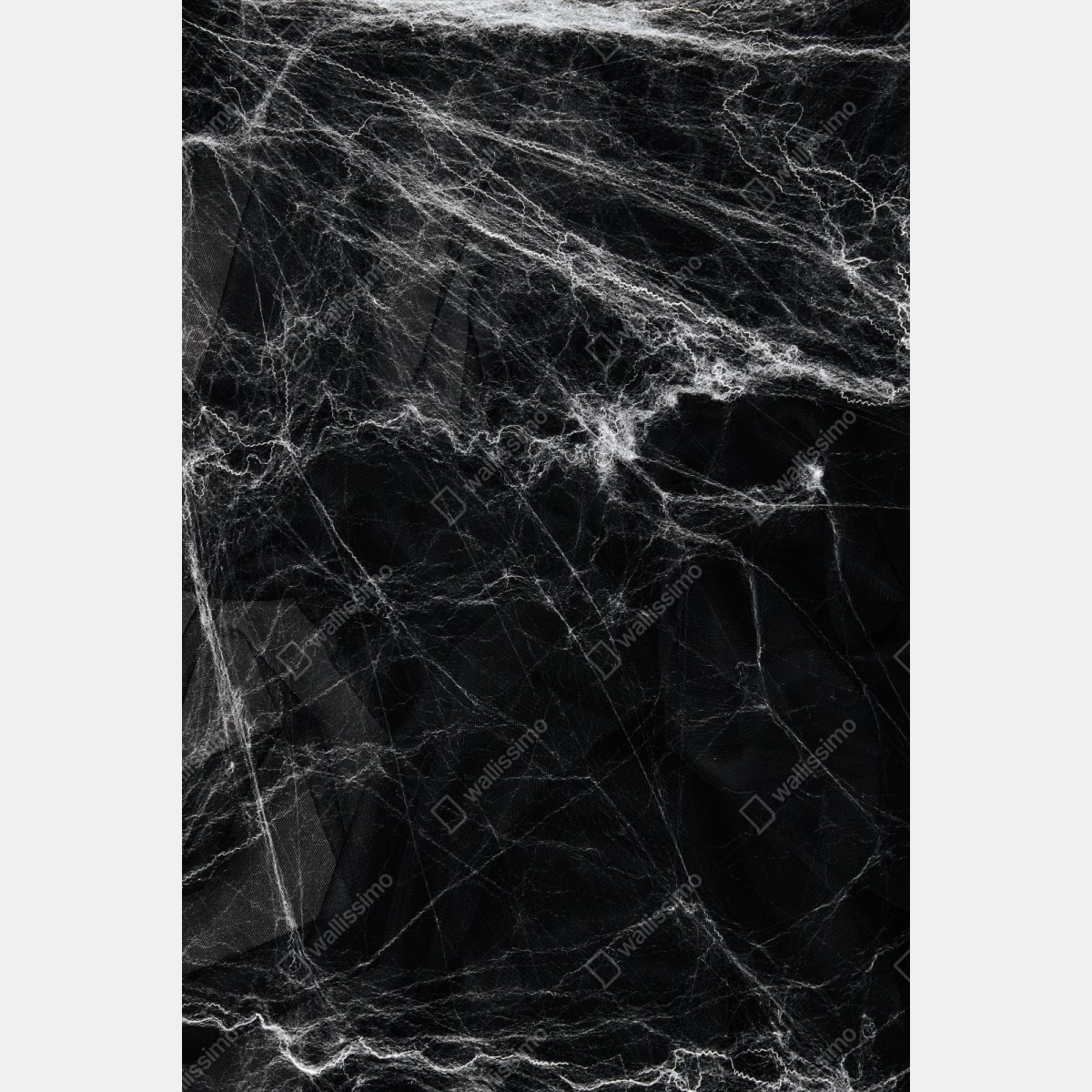 Schrankaufkleber gespenstisches spinnennetz auf schwarzem hintergrund – Wallnifity® Schrankaufkleber gespenstisches spinnennetz auf schwarzem hintergrund – Wallnifity®