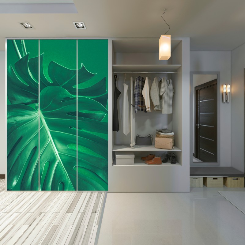 Schrankaufkleber prächtiges monstera-blatt nahaufnahme – Wallnifity® Schrankaufkleber prächtiges monstera-blatt nahaufnahme – Wallnifity®