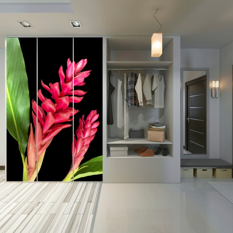 Schrankaufkleber leuchtende zier-ingwer-blüte auf schwarzem hintergrund – Wallnifity® Schrankaufkleber leuchtende zier-ingwer-blüte auf schwarzem hintergrund – Wallnifity®