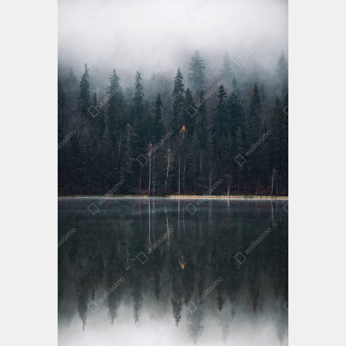 Schrankaufkleber neblige waldreflexion – Wallnifity®