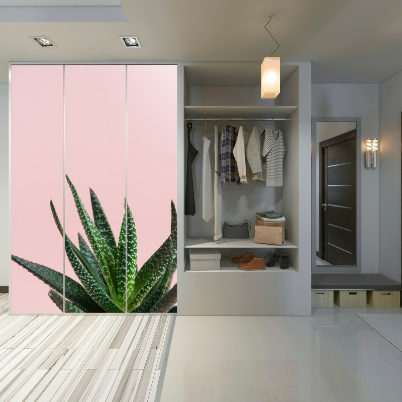 Schrankaufkleber grüner aloes auf rosa hintergrund – Wallnifity® Schrankaufkleber grüner aloes auf rosa hintergrund – Wallnifity®