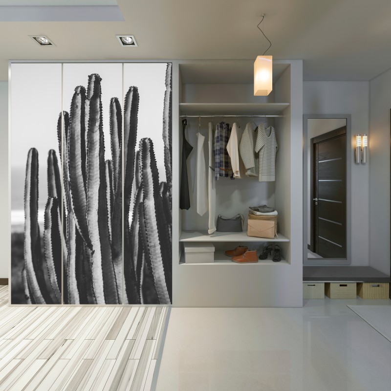 Schrankaufkleber schwarzweiß kaktus nahaufnahme – Wallnifity® Schrankaufkleber schwarzweiß kaktus nahaufnahme – Wallnifity®