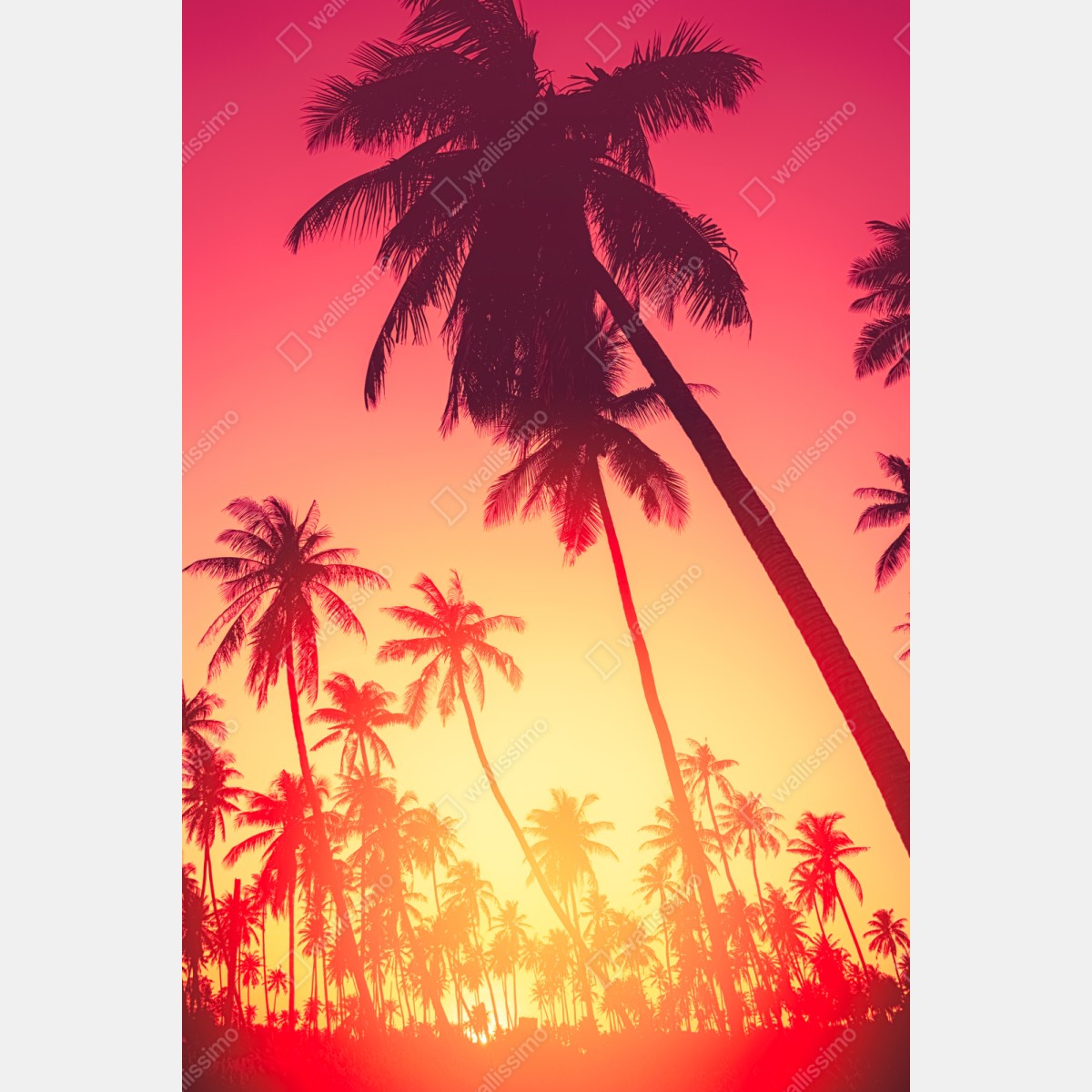 Schrankaufkleber tropischer sonnenuntergang mit palmen – Wallnifity® Schrankaufkleber tropischer sonnenuntergang mit palmen – Wallnifity®