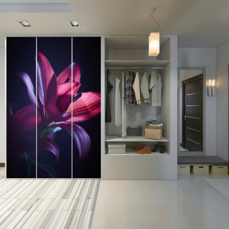 Schrankaufkleber rote lilie im halbdunkel – Wallnifity® Schrankaufkleber rote lilie im halbdunkel – Wallnifity®