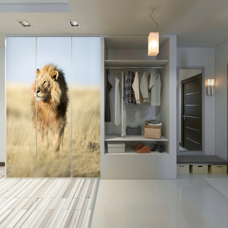 Schrankaufkleber majestätischer löwe in der steppe – Wallnifity® Schrankaufkleber majestätischer löwe in der steppe – Wallnifity®