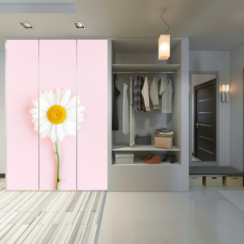 Schrankaufkleber weißes gänseblümchen auf pastellrosa hintergrund – Wallnifity® Schrankaufkleber weißes gänseblümchen auf pastellrosa hintergrund – Wallnifity®