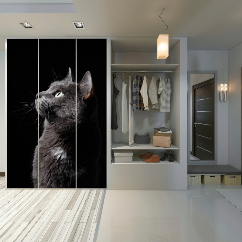 Schrankaufkleber elegantes porträt einer grauen katze – Wallnifity® Schrankaufkleber elegantes porträt einer grauen katze – Wallnifity®
