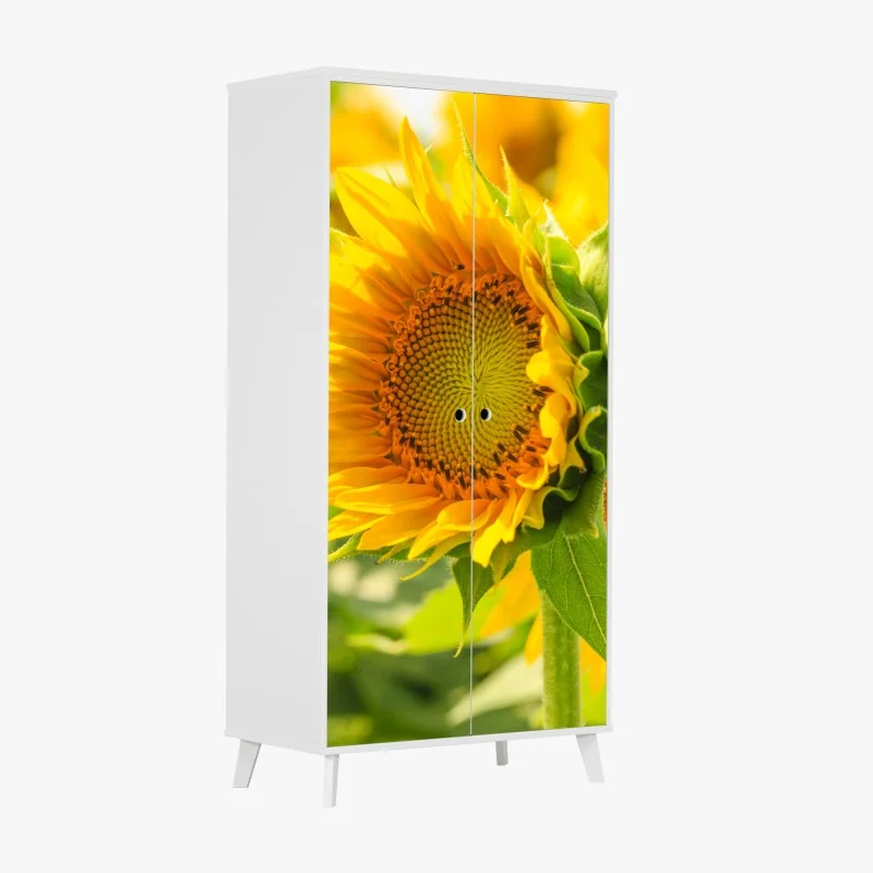 Schrankaufkleber sonnenblume nahaufnahme – Wallnifity® Schrankaufkleber sonnenblume nahaufnahme – Wallnifity®
