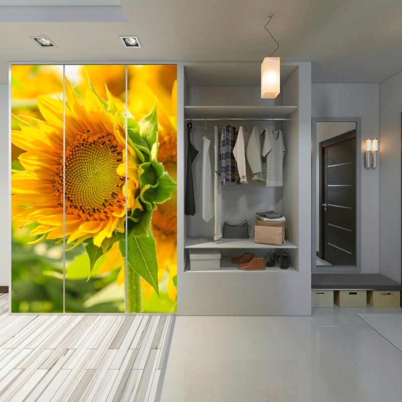 Schrankaufkleber sonnenblume nahaufnahme – Wallnifity® Schrankaufkleber sonnenblume nahaufnahme – Wallnifity®
