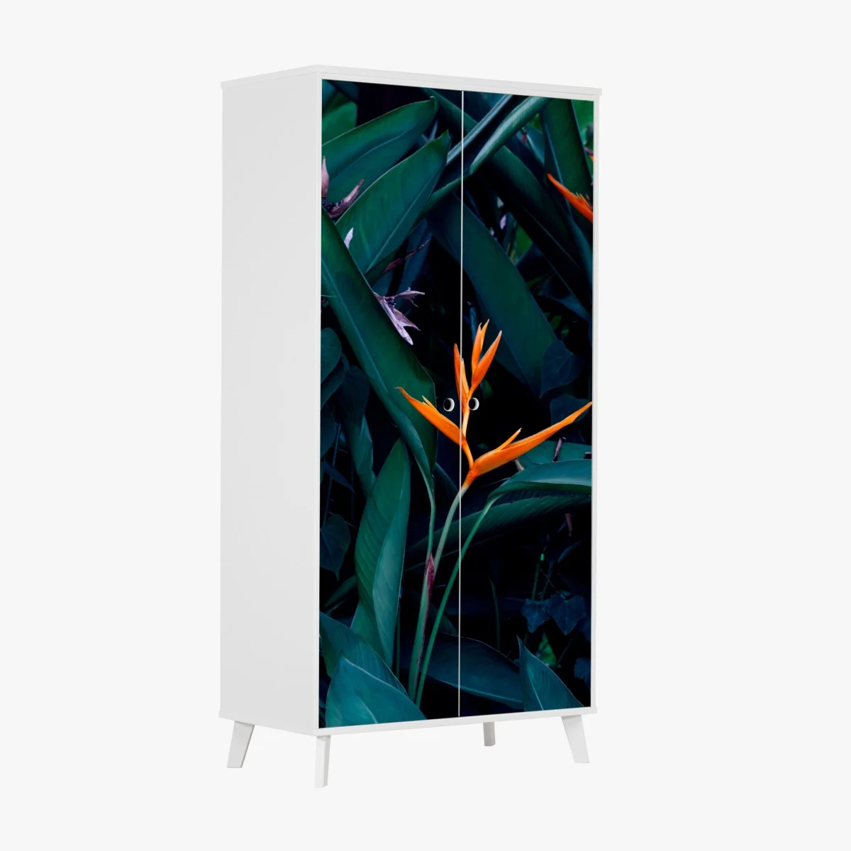 Schrankaufkleber leuchtende strelitzie vor tiefgrünen blättern – Wallnifity® Schrankaufkleber leuchtende strelitzie vor tiefgrünen blättern – Wallnifity®