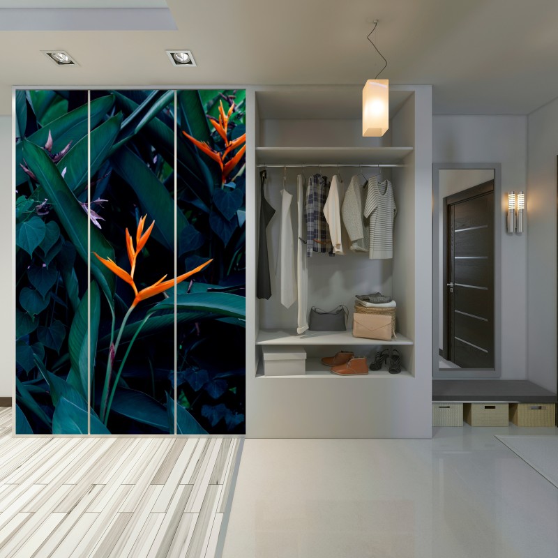 Schrankaufkleber leuchtende strelitzie vor tiefgrünen blättern – Wallnifity® Schrankaufkleber leuchtende strelitzie vor tiefgrünen blättern – Wallnifity®