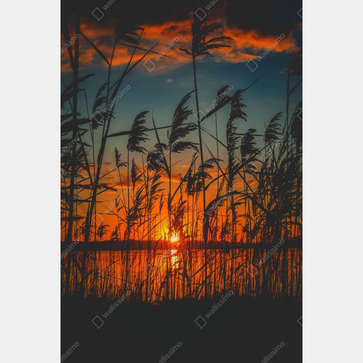 Schrankaufkleber sonnenuntergang am see mit schilf-silhouette – Wallnifity® Schrankaufkleber sonnenuntergang am see mit schilf-silhouette – Wallnifity®