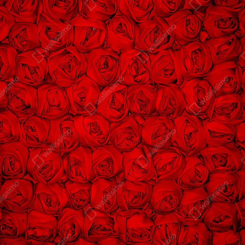 Schrankaufkleber endlose rote rosen – Wallnifity® Schrankaufkleber endlose rote rosen – Wallnifity®