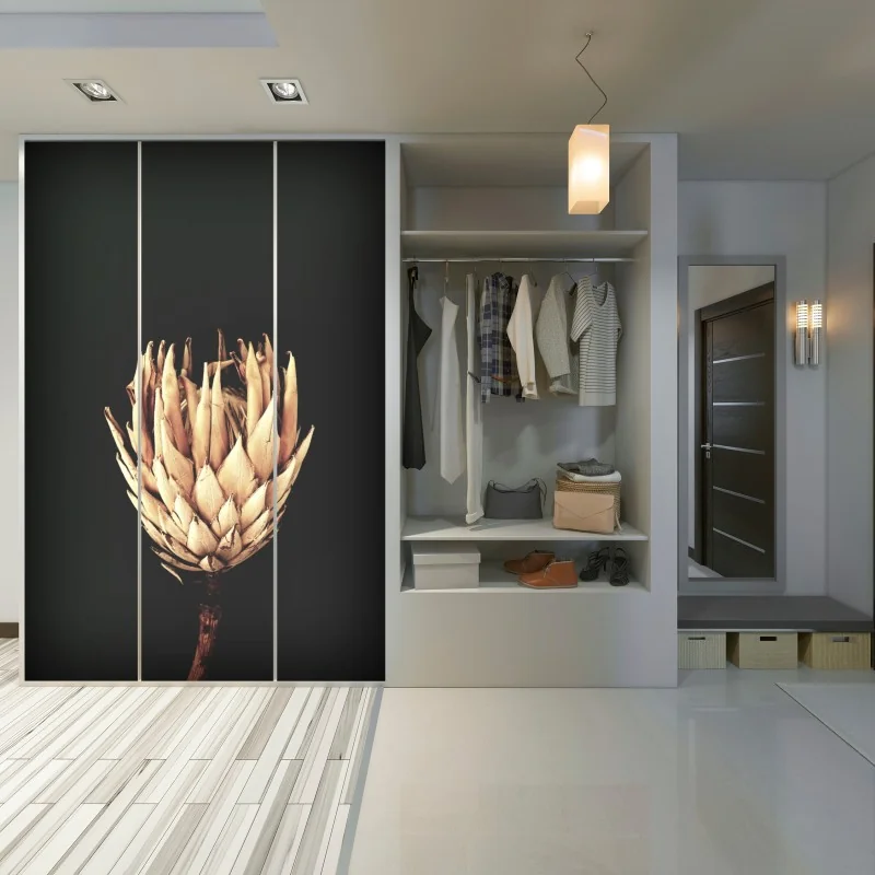 Schrankaufkleber getrocknete protea in sepia – Wallnifity® Schrankaufkleber getrocknete protea in sepia – Wallnifity®
