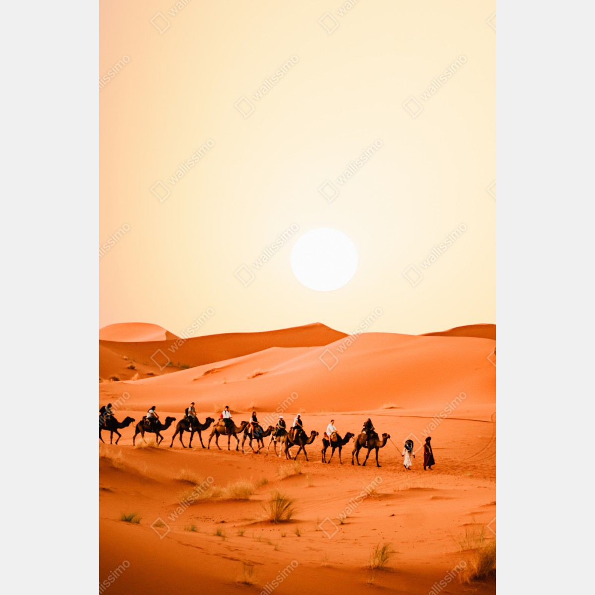 Schrankaufkleber karawane von kamelen in der wüste bei sonnenuntergang – Wallnifity® Schrankaufkleber karawane von kamelen in der wüste bei sonnenuntergang – Wallnifity®