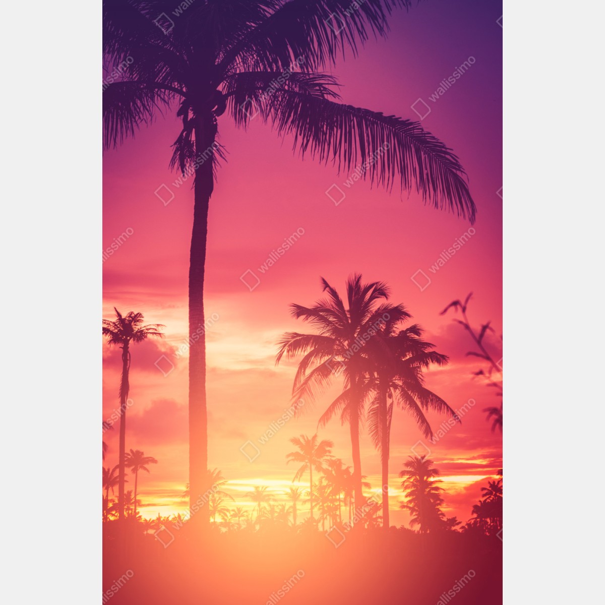 Schrankaufkleber tropischer sonnenuntergang mit palmen – Wallnifity® Schrankaufkleber tropischer sonnenuntergang mit palmen – Wallnifity®