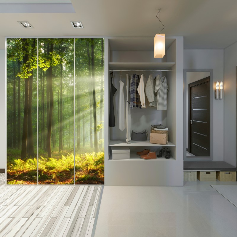 Schrankaufkleber sonniger morgenwald – Wallnifity® Schrankaufkleber sonniger morgenwald – Wallnifity®