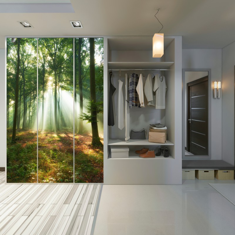 Schrankaufkleber morgendliches licht im wald – Wallnifity® Schrankaufkleber morgendliches licht im wald – Wallnifity®