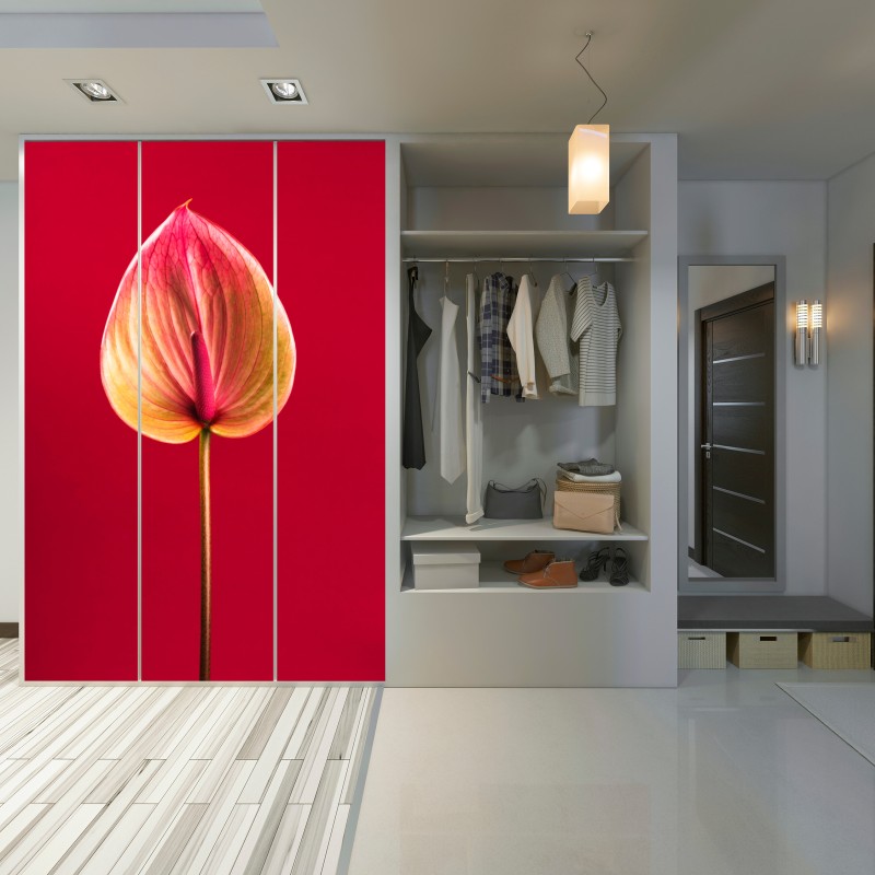 Schrankaufkleber elegantes anthurium vor rotem hintergrund – Wallnifity® Schrankaufkleber elegantes anthurium vor rotem hintergrund – Wallnifity®