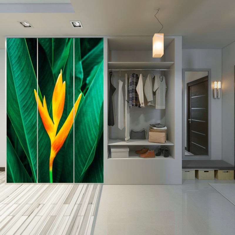 Schrankaufkleber leuchtende tropische heliconia vor satten grünen blättern – Wallnifity® Schrankaufkleber leuchtende tropische heliconia vor satten grünen blättern – Wallnifity®