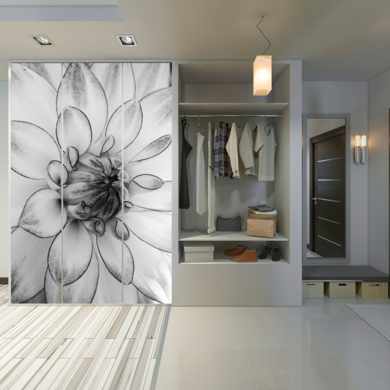 Schrankaufkleber monochrome nahaufnahme einer dahlie – Wallnifity® Schrankaufkleber monochrome nahaufnahme einer dahlie – Wallnifity®