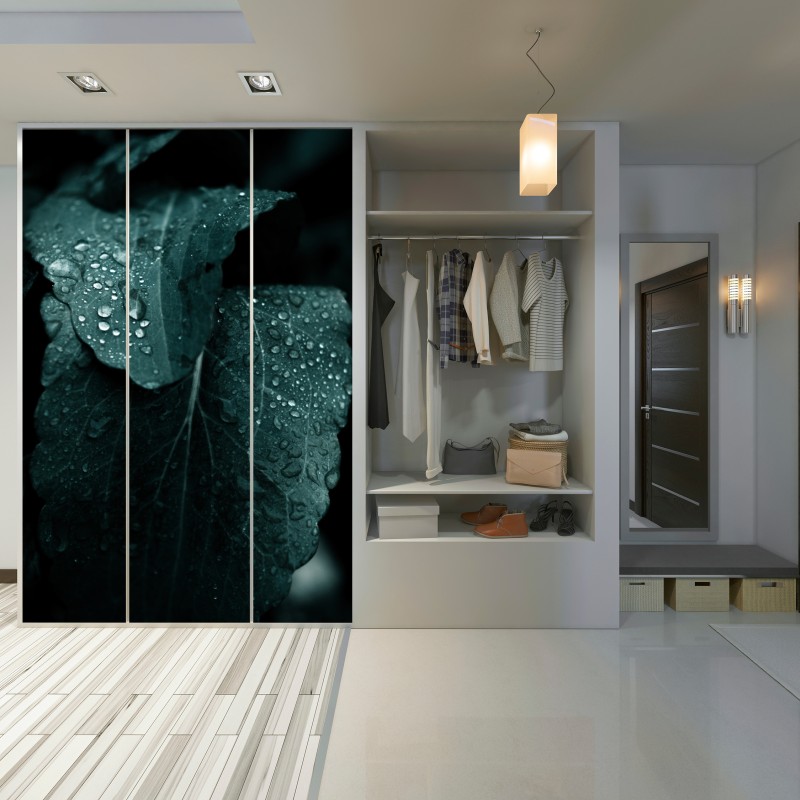 Schrankaufkleber tautropfen auf blättern – Wallnifity® Schrankaufkleber tautropfen auf blättern – Wallnifity®