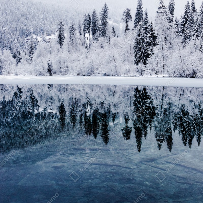 Schrankaufkleber winterlicher see mit spiegelung im verschneiten wald – Wallnifity®