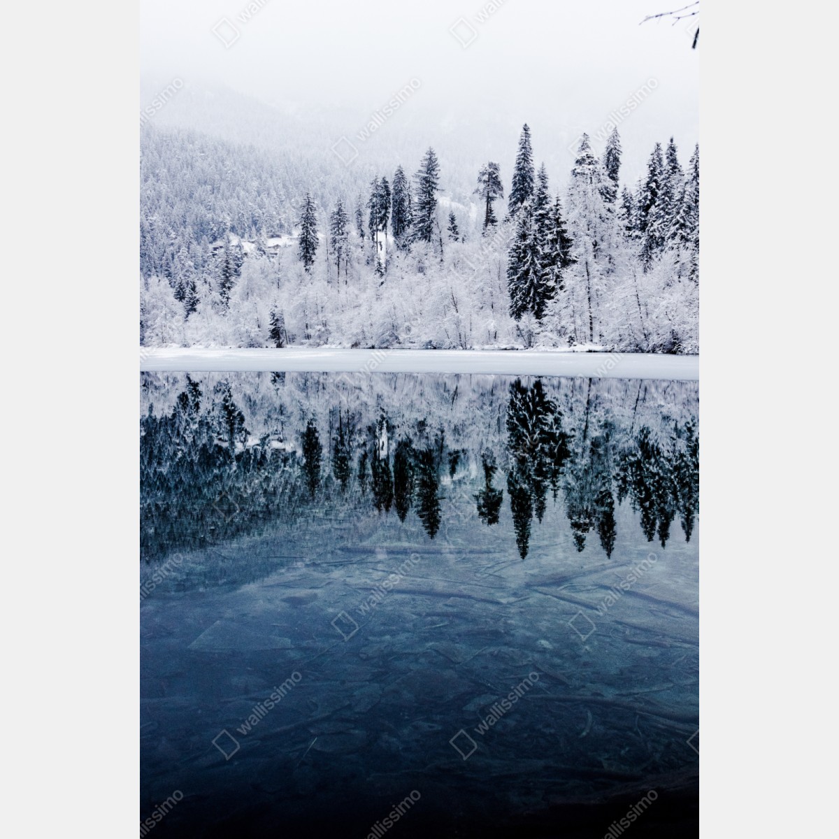 Schrankaufkleber winterlicher see mit spiegelung im verschneiten wald – Wallnifity®