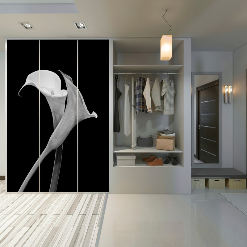Schrankaufkleber elegante callas in monochrom – Wallnifity®