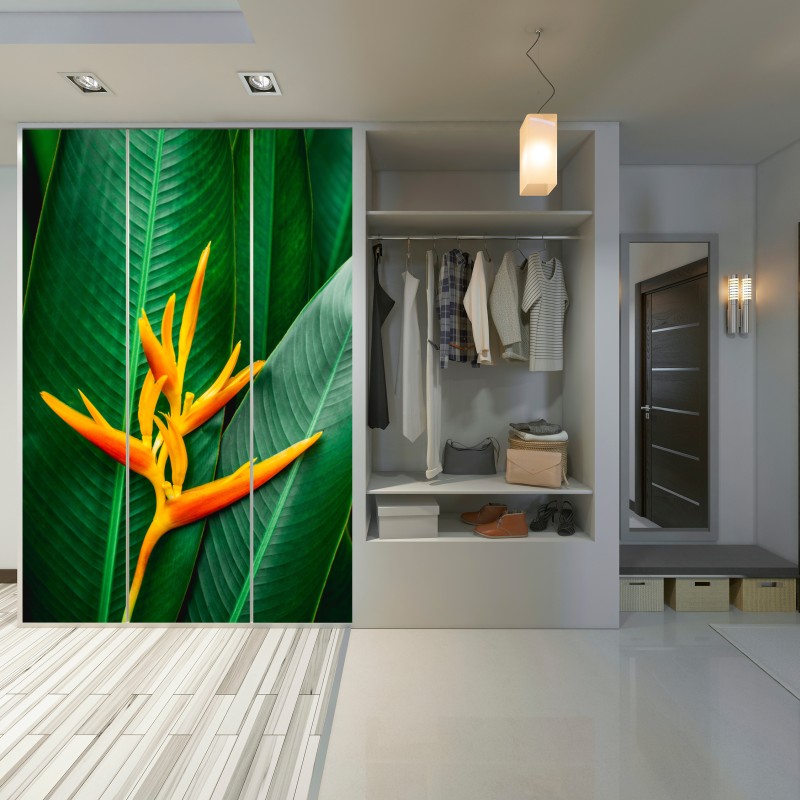 Schrankaufkleber leuchtende heliconia vor grünen blättern – Wallnifity® Schrankaufkleber leuchtende heliconia vor grünen blättern – Wallnifity®