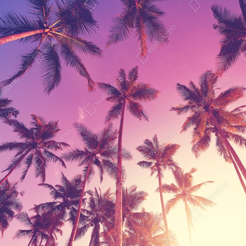 Schrankaufkleber tropische palmen beim sonnenuntergang – Wallnifity® Schrankaufkleber tropische palmen beim sonnenuntergang – Wallnifity®