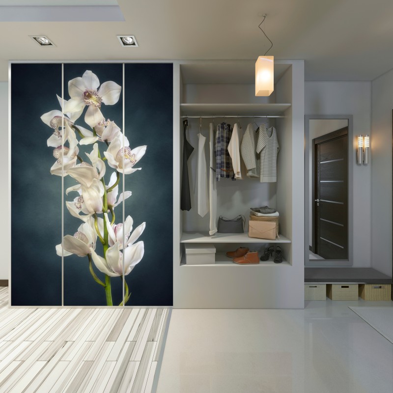 Schrankaufkleber zarte weiße orchideen vor gedämpftem hintergrund – Wallnifity® Schrankaufkleber zarte weiße orchideen vor gedämpftem hintergrund – Wallnifity®