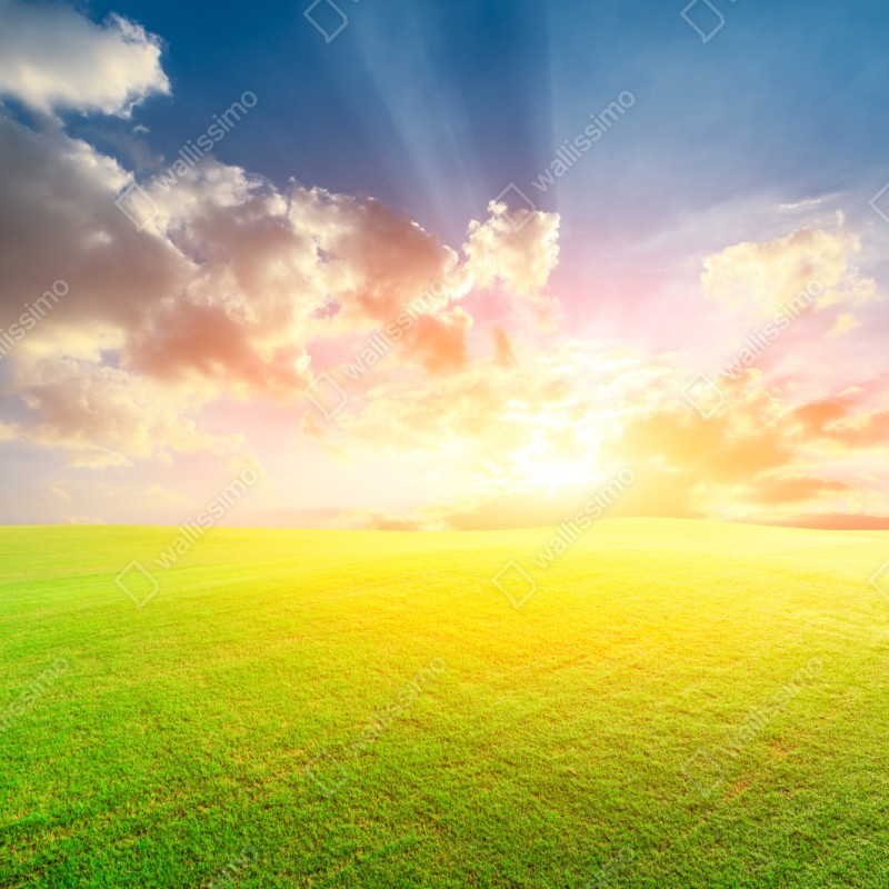 Schrankaufkleber sonnenbeschienene wiese bei sonnenuntergang – Wallnifity® Schrankaufkleber sonnenbeschienene wiese bei sonnenuntergang – Wallnifity®