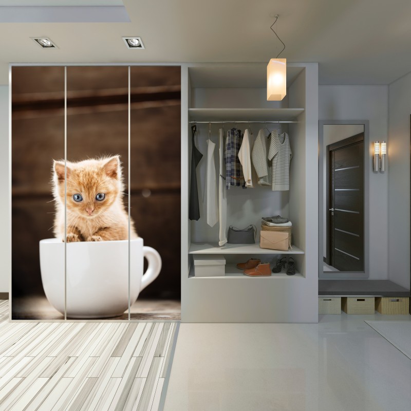 Schrankaufkleber rötliches kätzchen in einer teetasse – Wallnifity® Schrankaufkleber rötliches kätzchen in einer teetasse – Wallnifity®