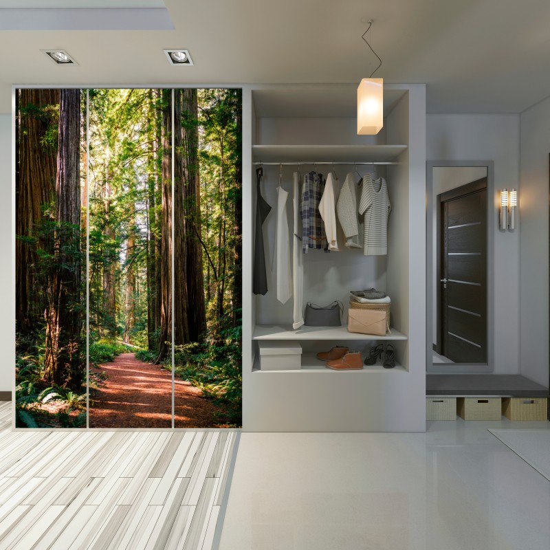 Schrankaufkleber majestätischer weg im sekwoienwald – Wallnifity®