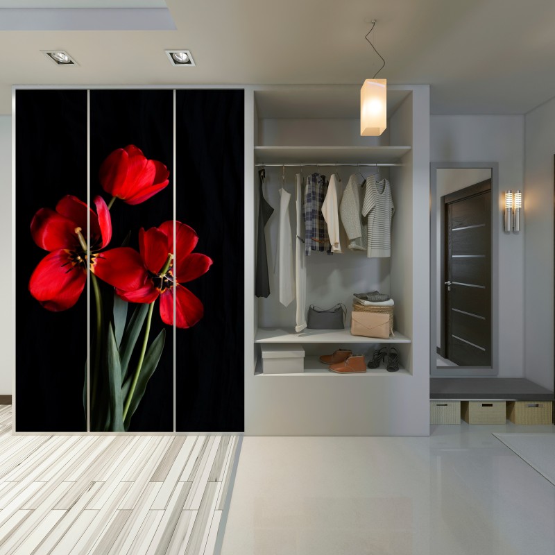Schrankaufkleber drei rote tulpen vor schwarzem hintergrund – Wallnifity®