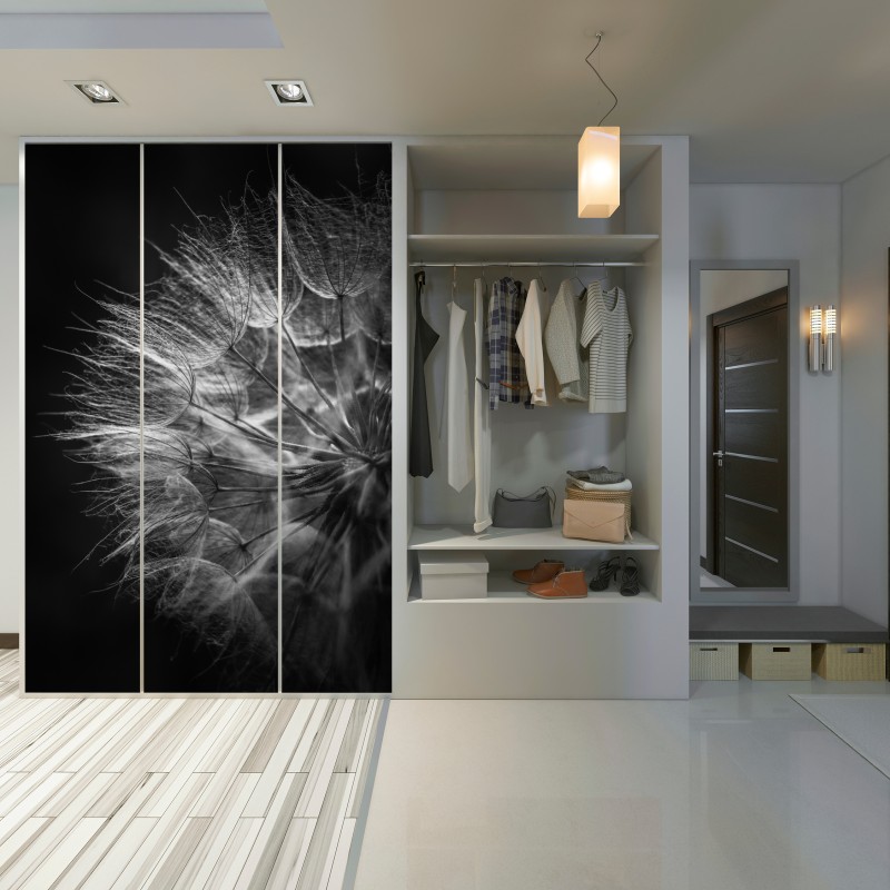 Schrankaufkleber zarter löwenzahn in monochrom – Wallnifity® Schrankaufkleber zarter löwenzahn in monochrom – Wallnifity®