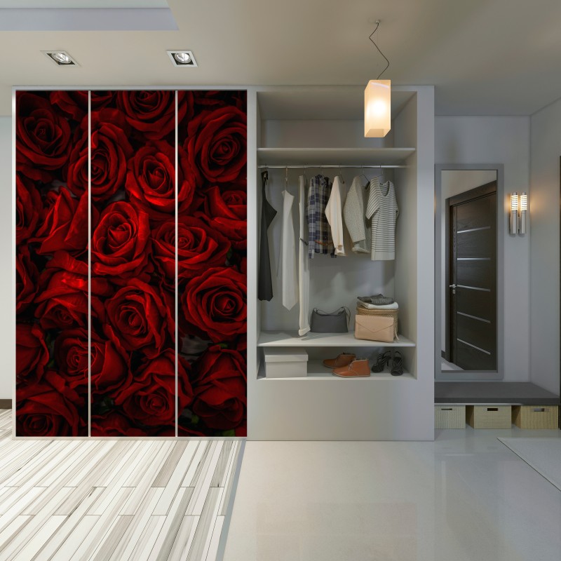 Schrankaufkleber intensive rote rosen nahaufnahme – Wallnifity®