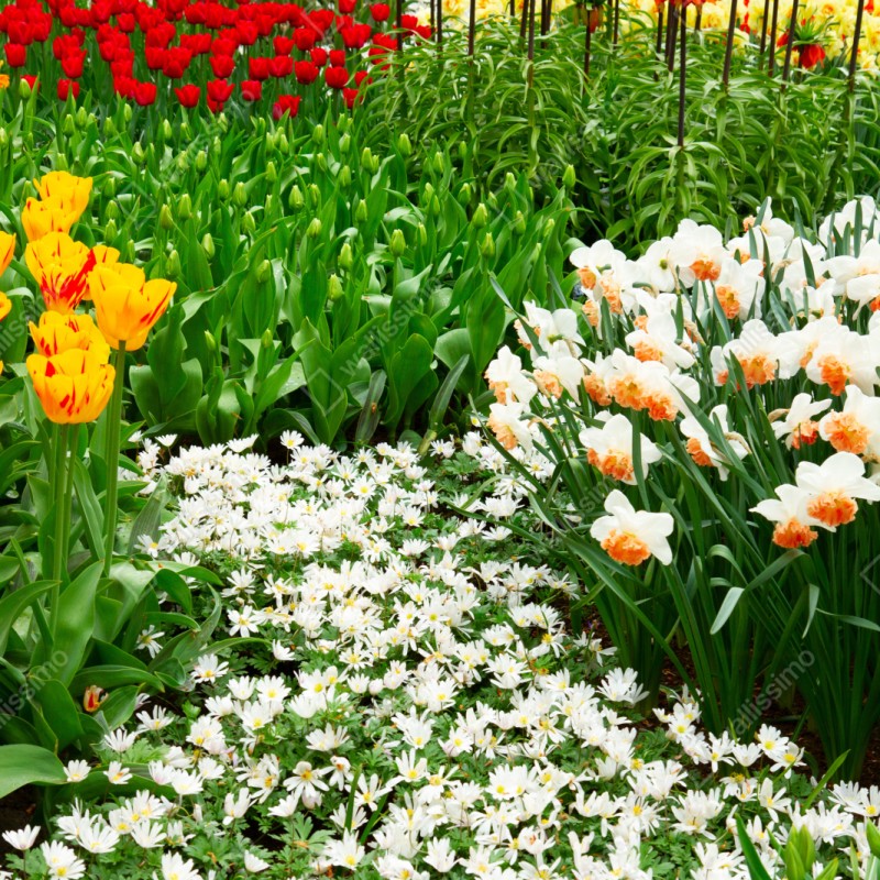 Schrankaufkleber lebendiger frühlingsblumengarten – Wallnifity® Schrankaufkleber lebendiger frühlingsblumengarten – Wallnifity®