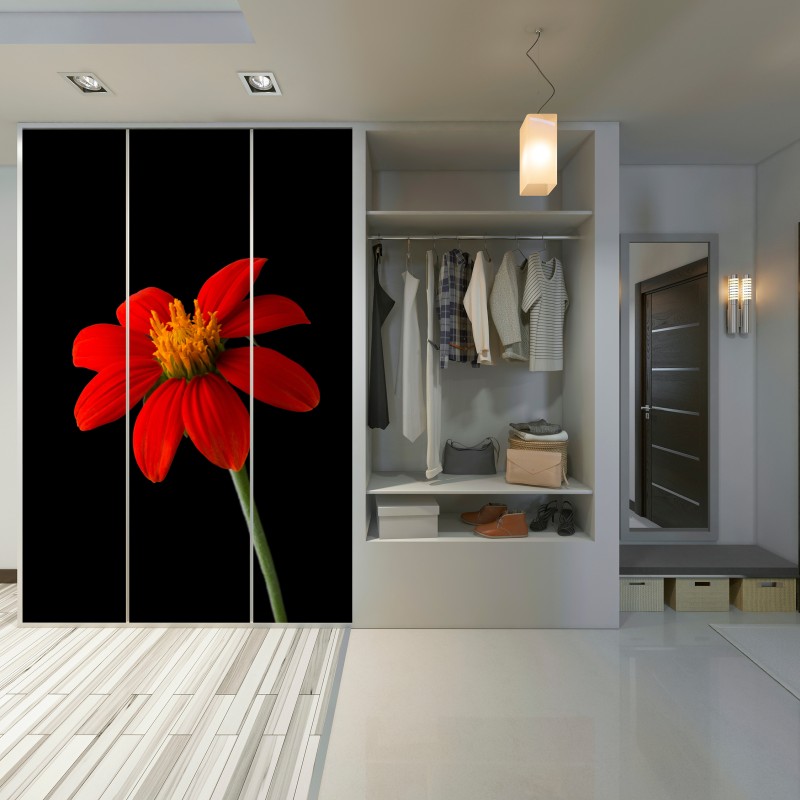 Schrankaufkleber leuchtende mexikanische sonnenblume auf schwarzem hintergrund – Wallnifity®