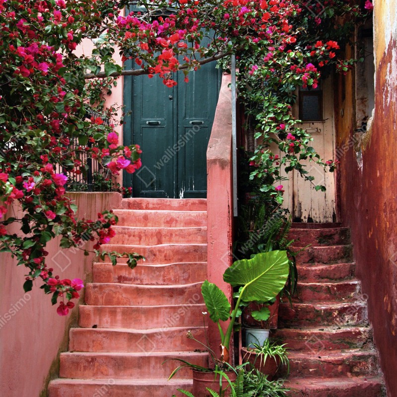 Schrankaufkleber treppe mit bougainvillea und grünen pflanzen – Wallnifity® Schrankaufkleber treppe mit bougainvillea und grünen pflanzen – Wallnifity®