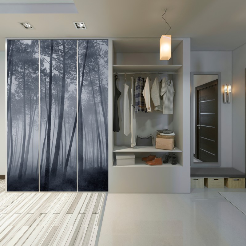 Schrankaufkleber nebliger kiefernwald bei nacht – Wallnifity® Schrankaufkleber nebliger kiefernwald bei nacht – Wallnifity®