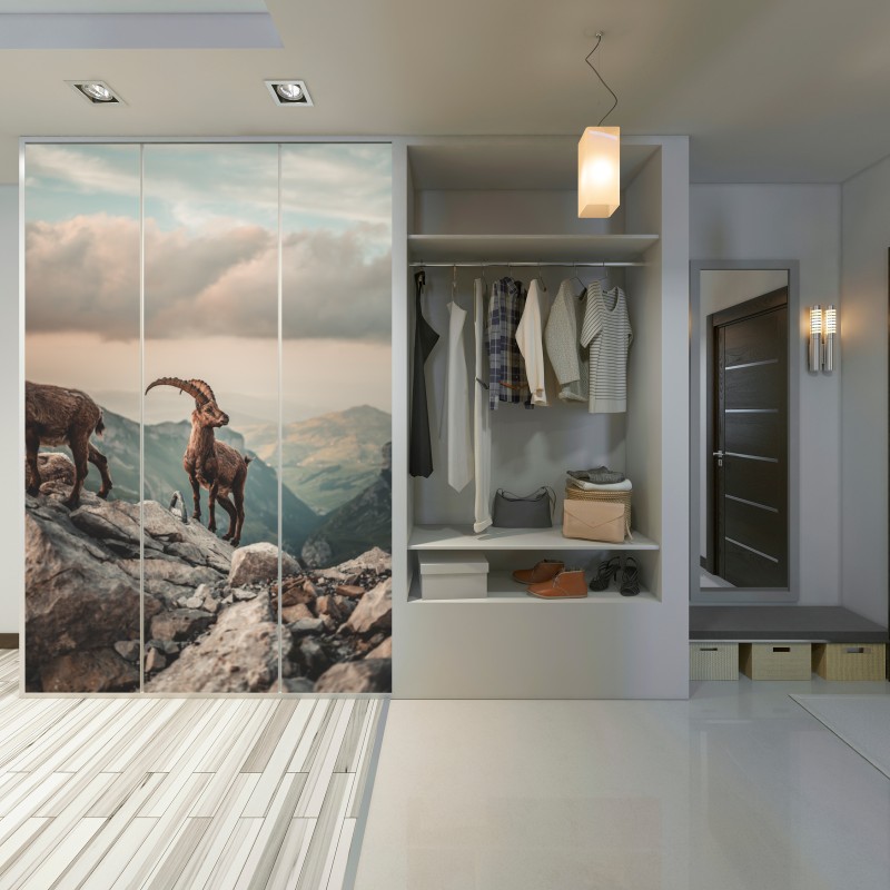 Schrankaufkleber alpensteinbock auf felsigem kamm – Wallnifity® Schrankaufkleber alpensteinbock auf felsigem kamm – Wallnifity®