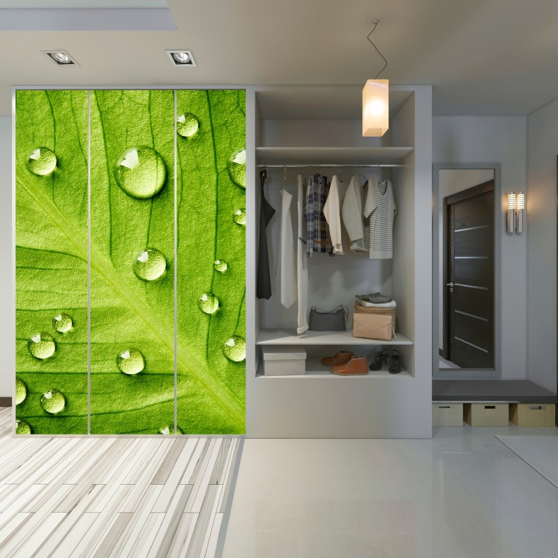 Schrankaufkleber frisches grünes blatt mit wassertropfen – Wallnifity® Schrankaufkleber frisches grünes blatt mit wassertropfen – Wallnifity®