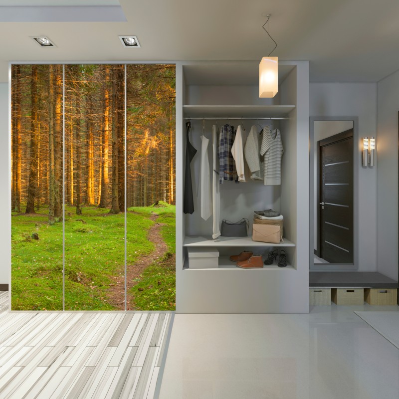 Schrankaufkleber goldenes licht im moosbedeckten kiefernwald – Wallnifity® Schrankaufkleber goldenes licht im moosbedeckten kiefernwald – Wallnifity®