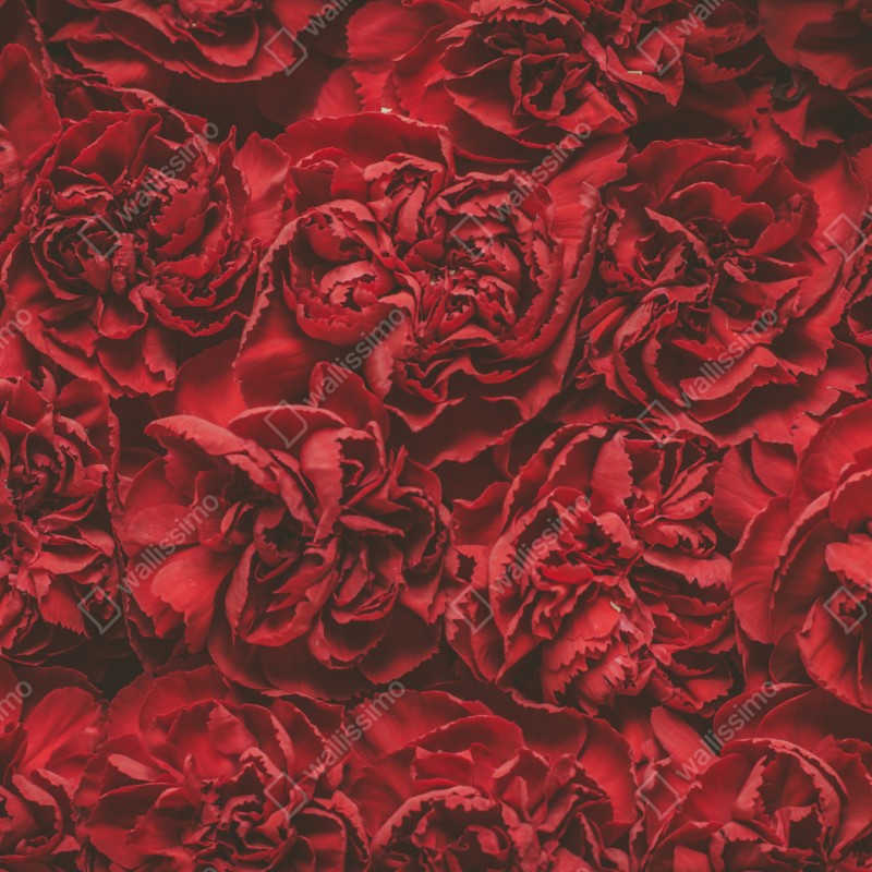 Schrankaufkleber vintage rote nelken blumenmuster – Wallnifity® Schrankaufkleber vintage rote nelken blumenmuster – Wallnifity®