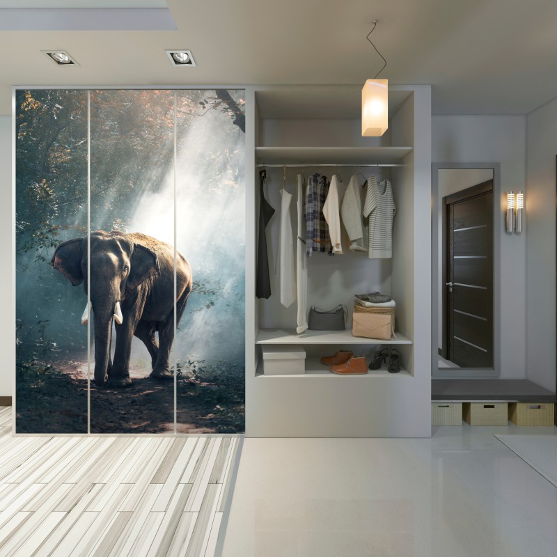 Schrankaufkleber majestätischer elefant im sonnenlichtdurchfluteten wald – Wallnifity®